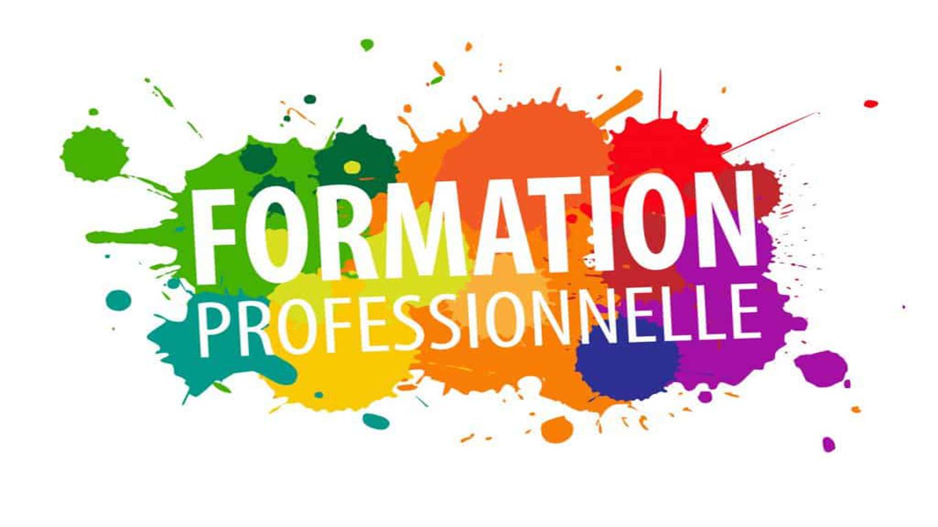 FORMATION PROFESSIONNELLE