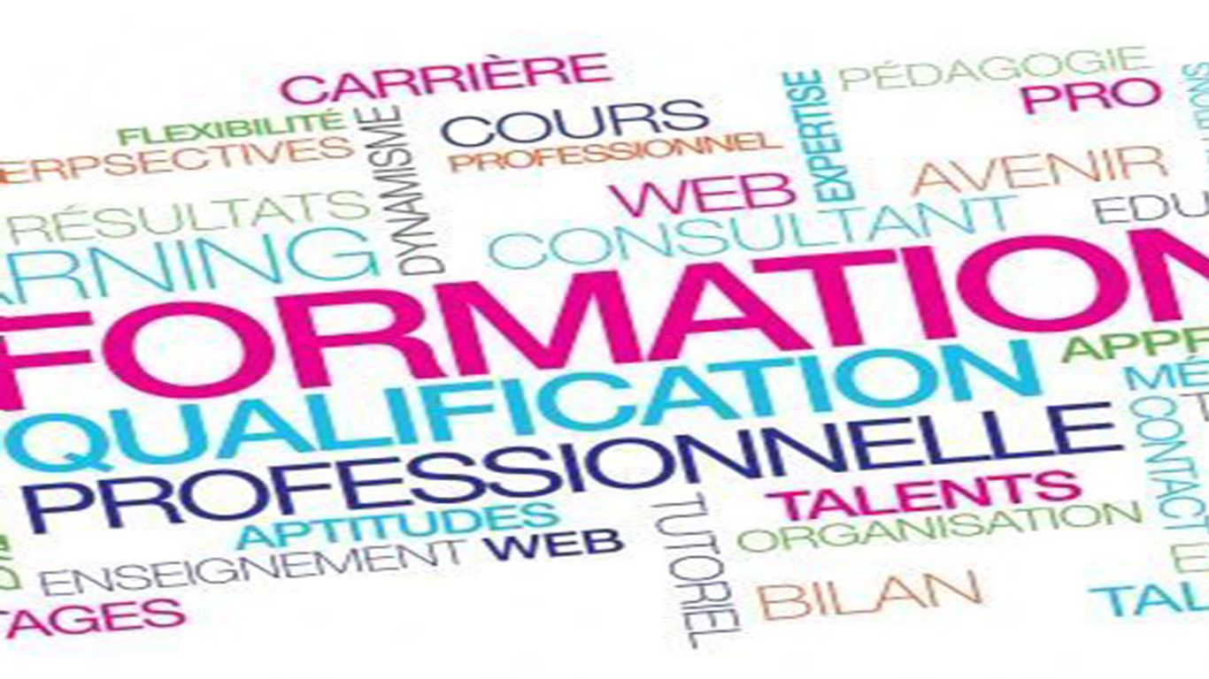 FORMATION PROFESSIONNELLE